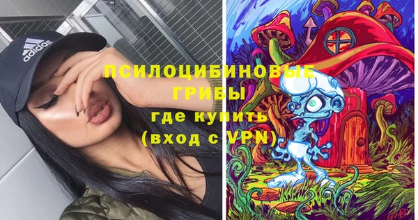 МДПВ Арсеньев