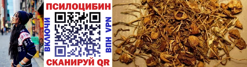Псилоцибиновые грибы Cubensis  купить   MEGA рабочий сайт  Белогорск 